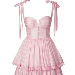 Adeirlina Jasmine Mini Dress in Pink XL NWT